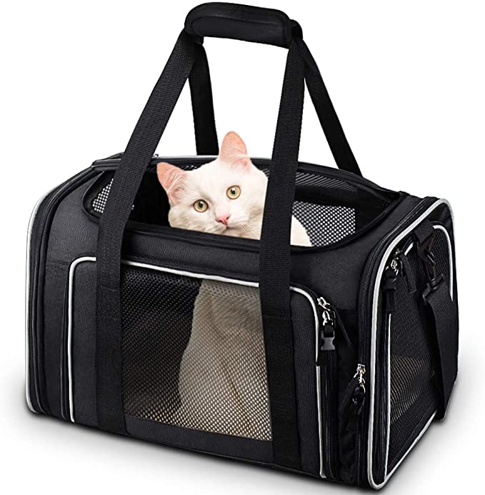 Pet bag